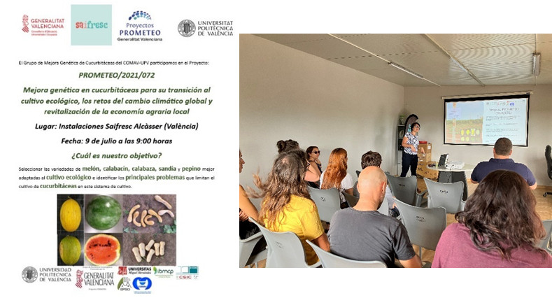 jornadas-saifresc